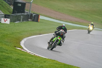 brands-hatch-photographs;brands-no-limits-trackday;cadwell-trackday-photographs;enduro-digital-images;event-digital-images;eventdigitalimages;no-limits-trackdays;peter-wileman-photography;racing-digital-images;trackday-digital-images;trackday-photos